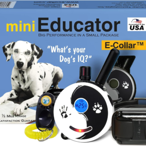 Educator ET-300 Zen Mini E Collar for Dog Training